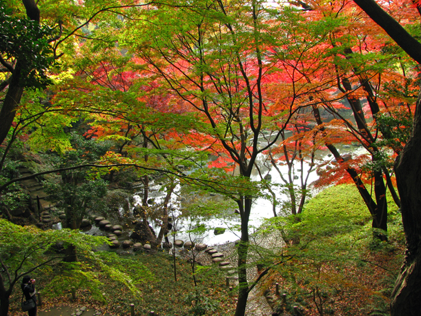 小石川後楽園