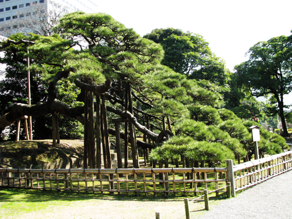 東京の風景