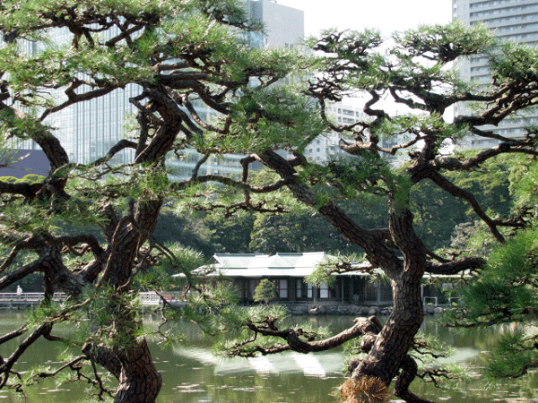 東京の風景