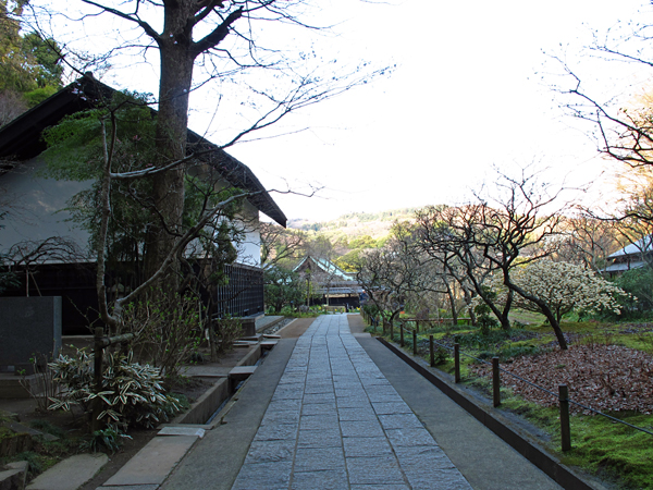 東慶寺☆鎌倉