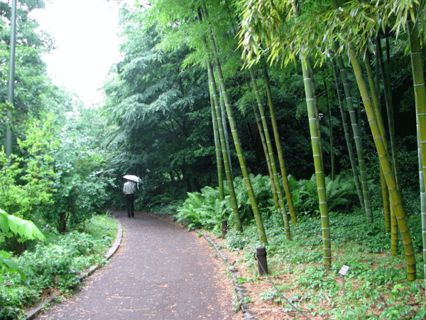 皇居東御苑