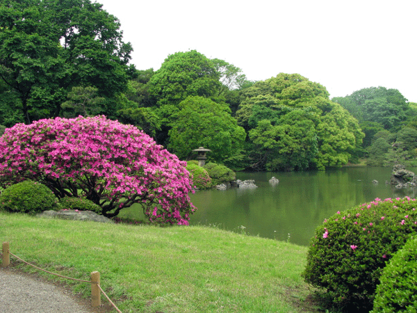 六義園の風景