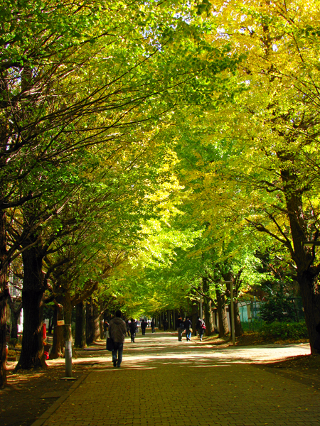 東京大学駒場キャンパス