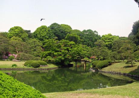 新緑六義園２.jpg