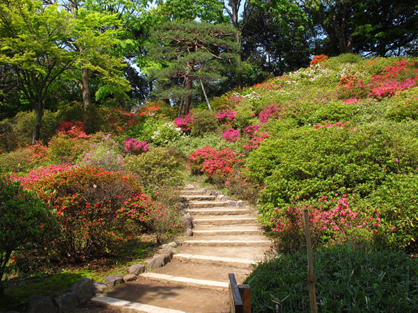 つつじ☆六義園