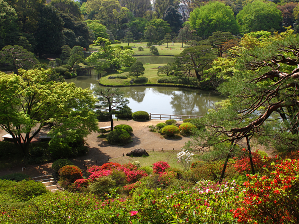 つつじ☆六義園