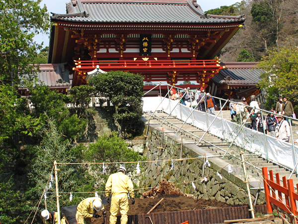 大銀杏☆鶴岡八幡宮