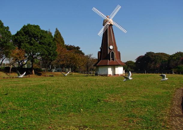 浮間公園☆カモメ