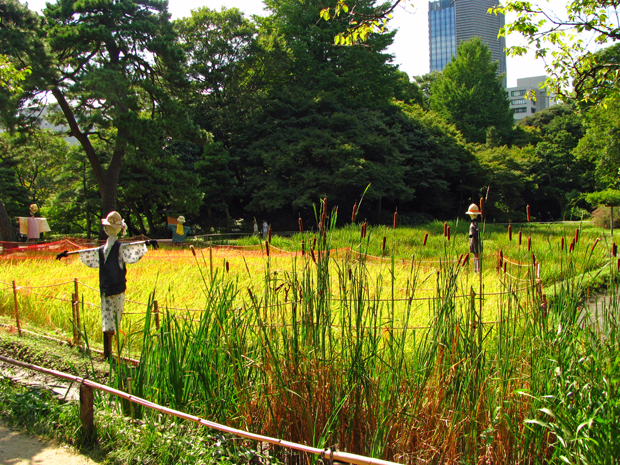 小石川後楽園