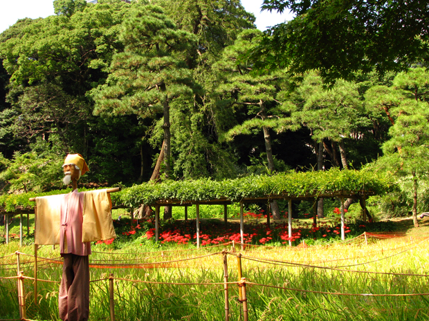 小石川後楽園