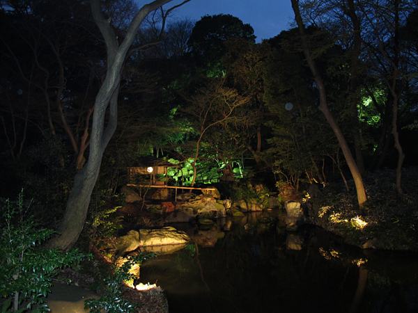 滝見茶屋☆六義園ライトップ