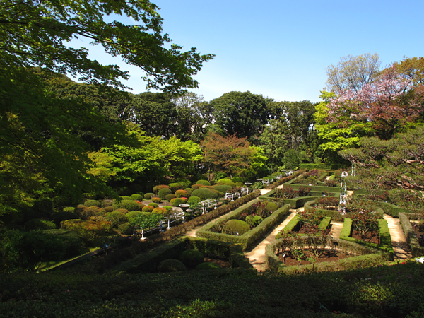 洋風庭園☆旧古河庭園