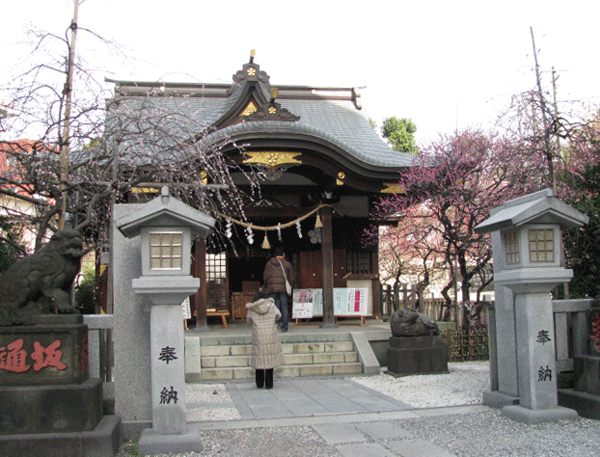 花　梅　牛天神