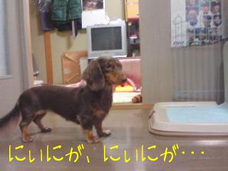 ほちいよぉ･･･