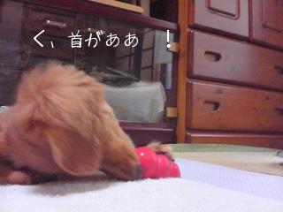く、首がぁ～