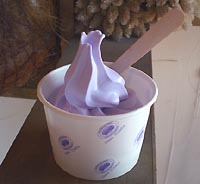 ﾗﾍﾞﾝﾀﾞｰｿﾌﾄ