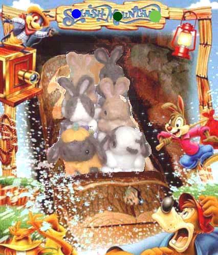 ヾ(*ΦωΦ)ﾉﾋｬｯﾎｩー