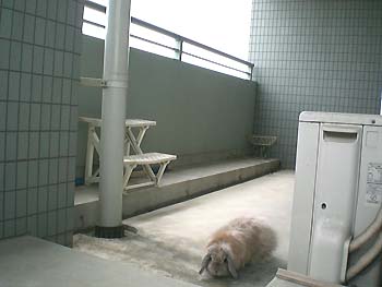 ﾍﾞﾗﾝﾀﾞ南～