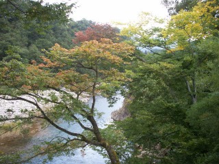 ２００８年10月 高山・白川郷・白山スーパー林道・金沢・土岐 105.jpg