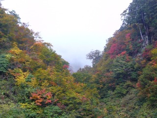 ２００８年10月 高山・白川郷・白山スーパー林道・金沢・土岐 047.jpg