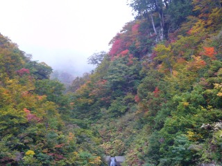 ２００８年10月 高山・白川郷・白山スーパー林道・金沢・土岐 049.jpg