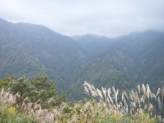 ２００８年10月 高山・白川郷・白山スーパー林道・金沢・土岐 131.jpg