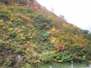 ２００８年10月 高山・白川郷・白山スーパー林道・金沢・土岐 128.jpg