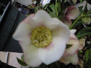 平成20年3月１6日 005.jpg