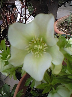 平成20年3月１6日 006.jpg