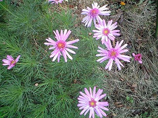 平成20年１月16日 007.jpg