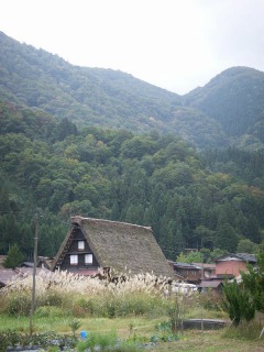 ２００８年10月 高山・白川郷・白山スーパー林道・金沢・土岐 104.jpg