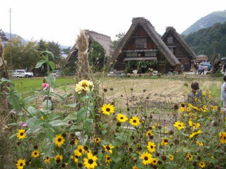 ２００８年10月 高山・白川郷・白山スーパー林道・金沢・土岐 118.jpg