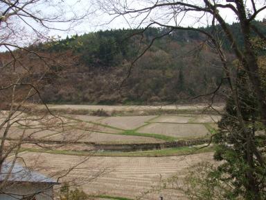 田舎を散策