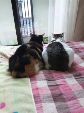 で～ん
