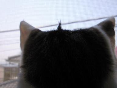 寝ぐせだ～