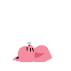sleep.gif