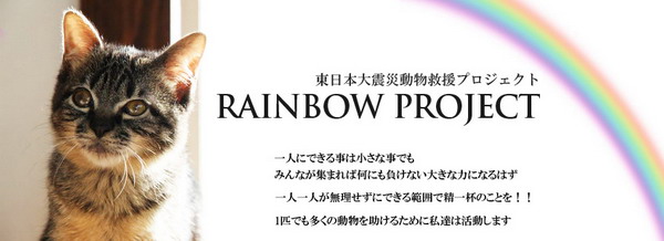 rainbowg[1].jpg