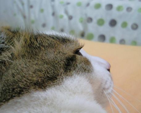 くるりんっ♪２