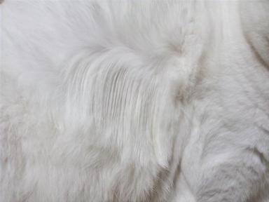 整ってる