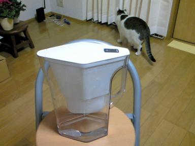 お手ごろ価格♪