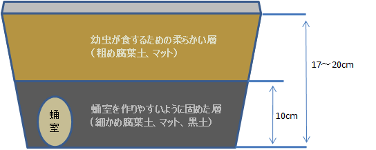 カブトムシ 幼虫 マット 深 さ