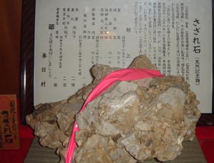 DSC01738-300sazare.jpg