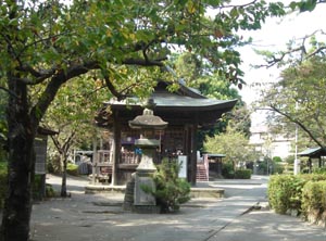 DSC02002.JPG