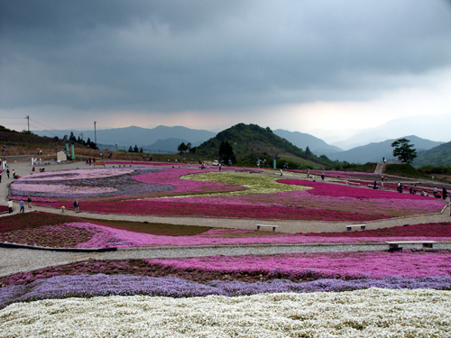 PICT1615.jpg
