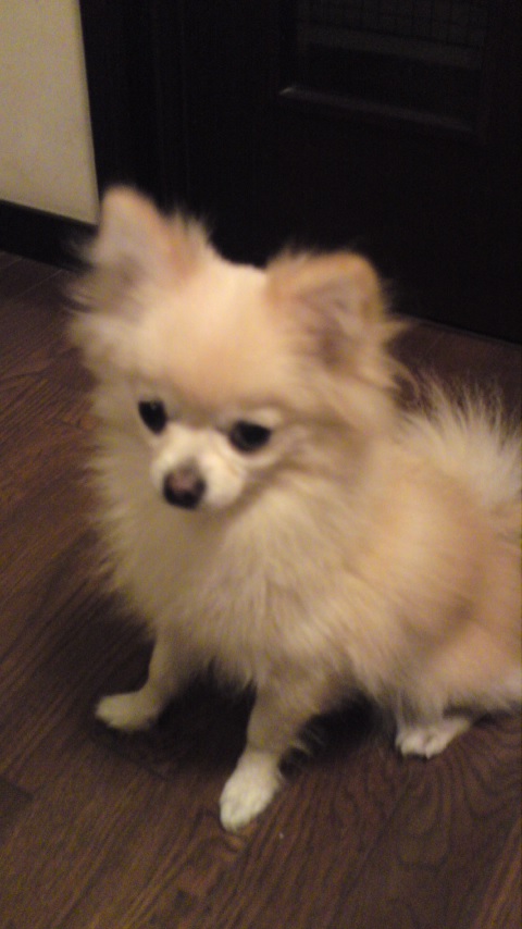 お座り♪