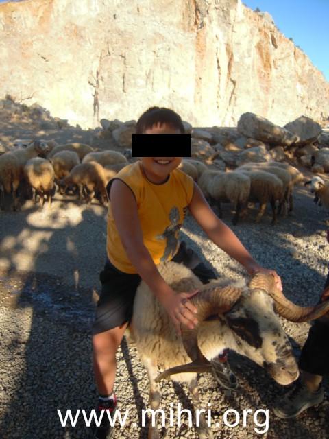 DSCN7968 [640x480]2.jpg