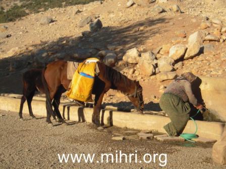 DSCN7978 [640x480].JPG