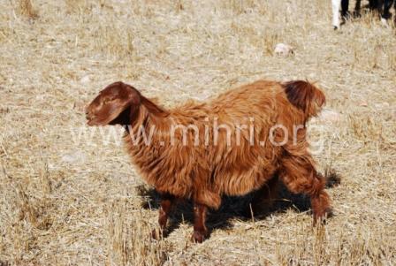 DSC_0137 [640x480] [640x480].JPG