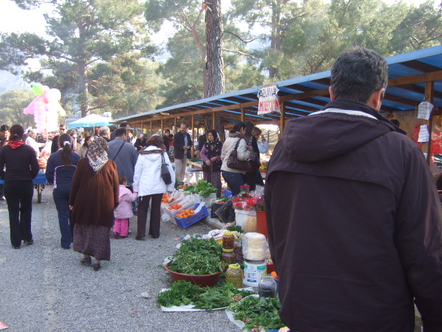 163.JPG