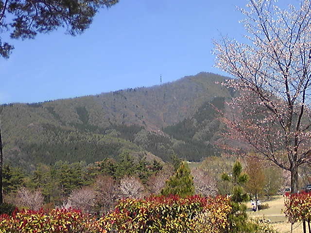 高山村